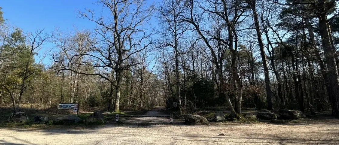 Forêt de Fontainebleau : allée sablonneuse entre chênes et pins, rochers au bord du chemin